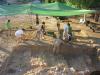 Excavaciones en la Casa del Anfiteatro.