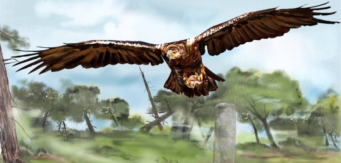 Según Dion Casio y Suetonio, un águila le quitó un trozo de pan a Augusto de las manos siendo un niño y después de volar durante un rato se lo devolvió. Se muestra en esta historia al joven Octavio como el elegido por la divinidad.