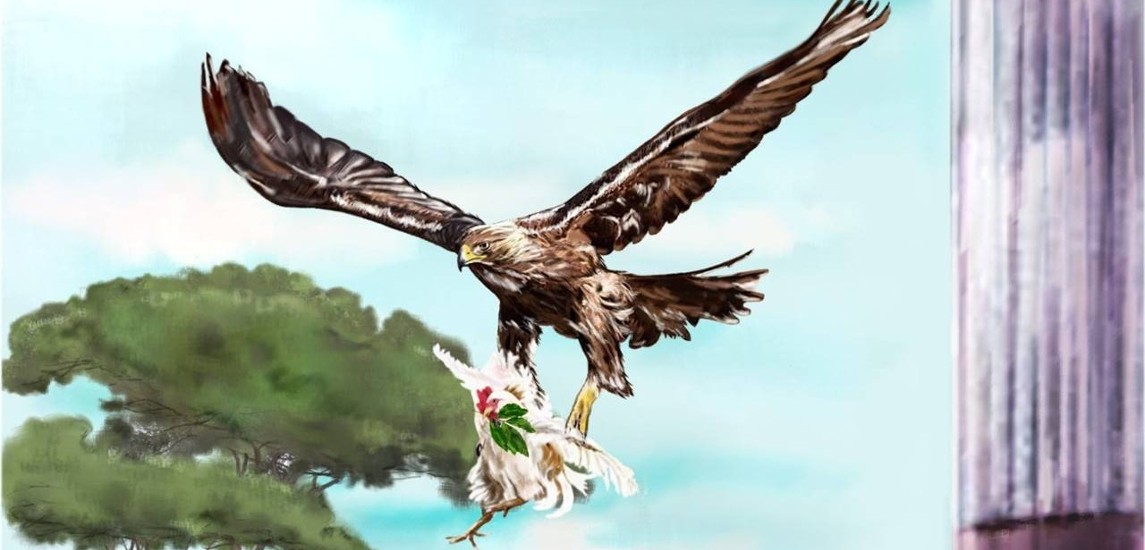 Cuentan Plinio y Suetonio que, descansando Livia en un patio de su casa de campo, un águila soltó en su regazo a una gallina blanca que llevaba en el pico una rama de laurel llena de frutos. Este acontecimiento se consideró un buen augurio para la perpetuación de la estirpe Julio Claudia.